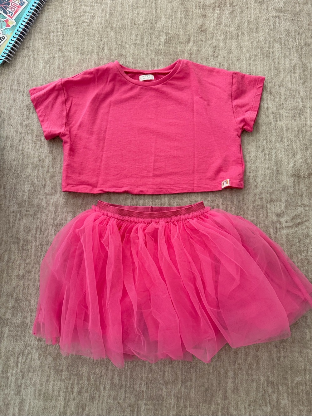 Hot Pink Crop Tee and Tulle Skirt Set